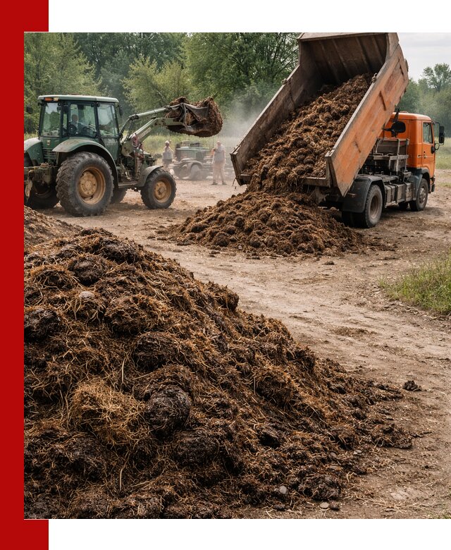 Доставка навоза самосвалами в Клинцах для сельхозпотребностей